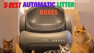 Best Automatic Litter Boxes 2024 | Top 5 Best Automatic Litter Boxes Reviews