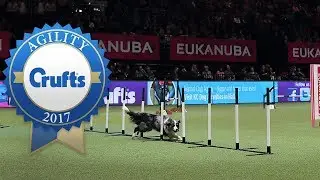 Fastest Runs from the Agility Championship Final at Crufts 2017