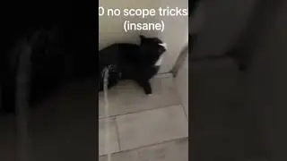 #csgo