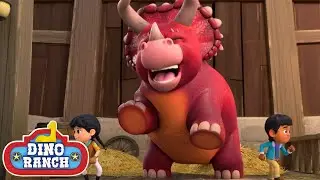 Triceratops Breaks Ranchers Free! | Dino Ranch