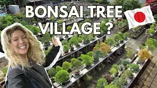 The BONSAI TREE capital of the WORLD - Japan Adventure