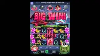 Wild Hawaii and Jackpot Gold Slots