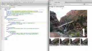 AngularJS Basics - Photo Album Pt 2 Categories