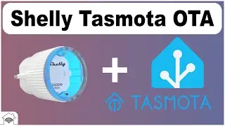 Flashing Shelly Plug S with Tasmota OTA + Power Calibration + Home Assistant Integration