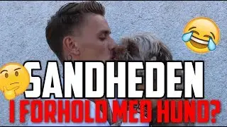 Boris Laursen i nyt forhold? - 