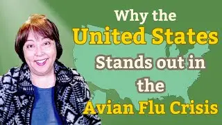 Avian Flu in the U.S.: What Sets the U.S. Apart in the Global Outbreak?
