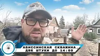 Абиссинская скважина, две штуки до 