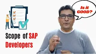What is the Scope for SAP Developer?