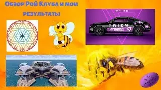 Обзор Рой Клуба и мои результаты.