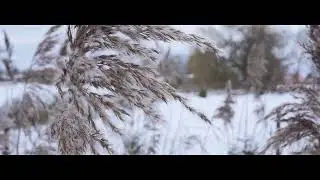 SNOWFLAKE