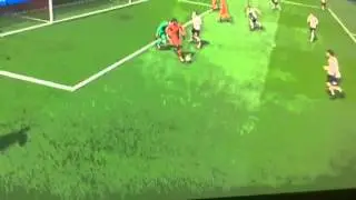 Nutmeg 6