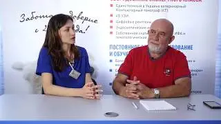 Реабилитология котов в ветеринарии, часть 1