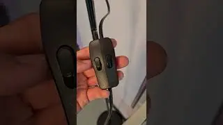 Double Inline Cord Switch (Lamp, AC)