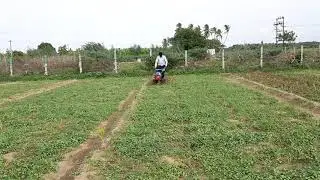 Autofarm Power Weeder TT V2 Pro ( Jasmine Field ) - 9626883388