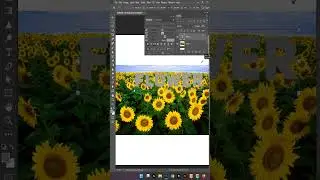 Wonderful Text Effect in Photoshop 2024