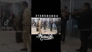 mariachis bucaramanga tres palacios el mejor mariachi de Santander colombia