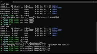 Setting Up an SFTP Server with Chroot for Multiple Users: Easy Step-by-Step Guide