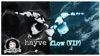 hayve - Flow (VIP) [DnB]