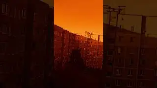 Страшные истории на ночь Страшилки #shorts #horrorstories