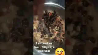 Catch Snail and cook 