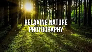 Beautiful picture of nature photography / example landscape