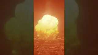 Wait don't!
