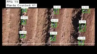 Drone-Based Plant Detection, Tracking & Counting System