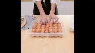 egg tray 34 grids