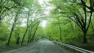 Одна из самых красивых дорог в мире - Грузия,Кахетия