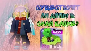 Существуют ли дюпы в Скай Блоке?