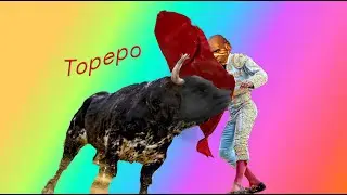 Тореро я тебя ****