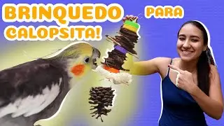 Toy for cockatiel!