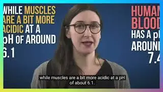 Alkaline Water and the Acid Ash Hypothesis