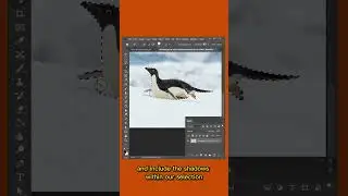 How to move objects within images in Adobe Photoshop #photoshop #howto #shorts