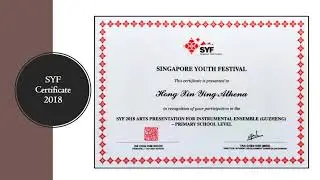 Athena Hong Xin Ying (Tao Nan School)