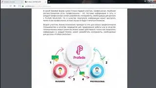 Смотрим Whitepaper Profede