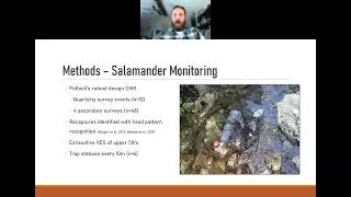 Wildlife Diversity Webinar Series - Restoration of spring habitat occupied by Salado Salamanders