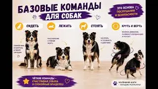 СИДЕТЬ, ЛЕЖАТЬ, СТОЯТЬ, КРУТЬ И ВЕРТЬ