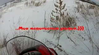 Покатуха на снегоходе Тайга СТ-500Д