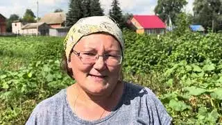 Жизненки в д. Бишкаин. Аургазинского района Башкортостана