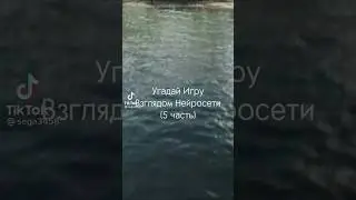 Угадай Взглядом Нейросети (5часть )