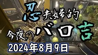 Warframe 第252回 Baro Ki'Teer 忍夫婦的今夜のバロ吉 [2024年8月9日]