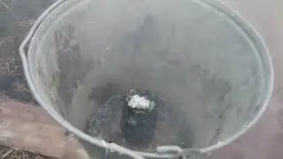 Последнее с теплицей🙋