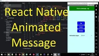 Demo React Native Animated Message Package