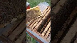 что делать.как правильно поступить.