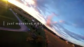 Dolphin and AR Wing Pro // Golden Hour Flight