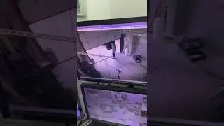Не всегда получается пользоваться головой по назначению…