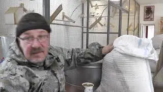 Сафлор