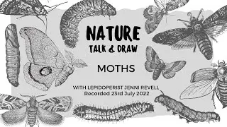 MOTHS with Jenni Revell