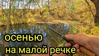 СО СПИННИНГОМ НА КРАСИВОЙ РЕЧКЕ !!! РЫБАЛКА В ЛИСТОПАД !!!
